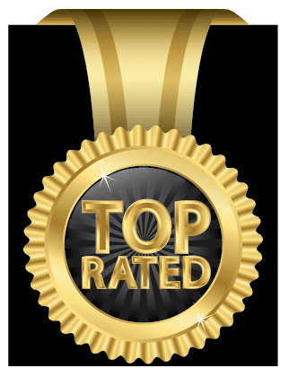 Top rated SEO company in Houston medallion